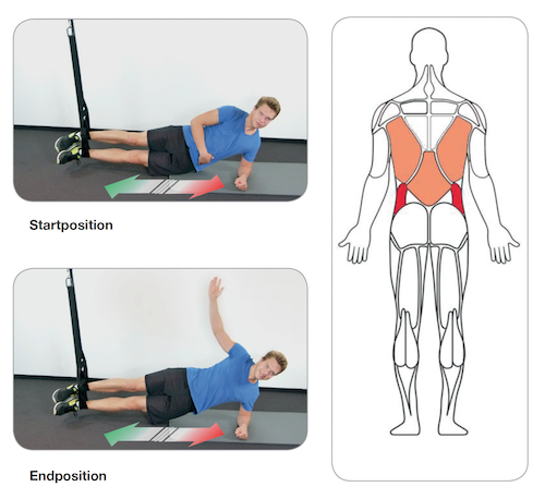 Training the lateral back / abdomen
